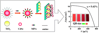 Graphical abstract: Efficient CdSe quantum dot-sensitized solar cells prepared by a postsynthesis assembly approach