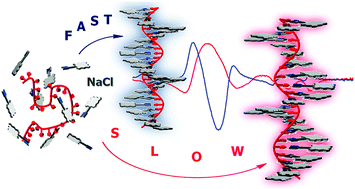 Graphical abstract: Formation and helicity control of ssDNA templated porphyrin nanoassemblies