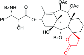 Graphical abstract: A novel C,D-spirolactone analogue of paclitaxel: autophagy instead of apoptosis as a previously unknown mechanism of cytotoxic action for taxoids