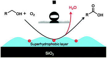 Graphical abstract: Insights into support wettability in tuning catalytic performance in the oxidation of aliphatic alcohols to acids