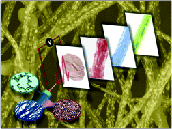 Graphical abstract: Nanoparticles meet electrospinning: recent advances and future prospects