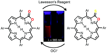 Graphical abstract: Porphothionolactones: synthesis, structure, physical, and chemical properties of a chemodosimeter for hypochlorite