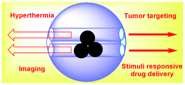 Graphical abstract: Magnetic mesoporous silica-based core/shell nanoparticles for biomedical applications