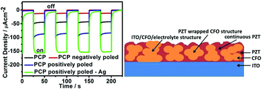 Graphical abstract: The photocathodic properties of a Pb(Zr0.2Ti0.8)O3 wrapped CaFe2O4 layer on ITO coated quartz for water splitting
