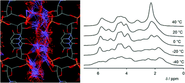 Graphical abstract: Dynamics of water molecules and sodium ions in solid hydrates of nucleotides