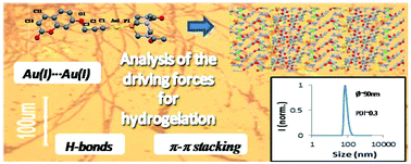 Graphical abstract: A coumarin based gold(i)-alkynyl complex: a new class of supramolecular hydrogelators