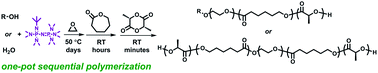 Graphical abstract: Sequential polymerization of ethylene oxide, ε-caprolactone and l-lactide: a one-pot metal-free route to tri- and pentablock terpolymers
