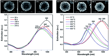 Graphical abstract: Internal and external morphology-dependent plasmonic resonance in monolithic nanoporous gold nanoparticles