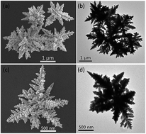 Graphical abstract: Controllable synthesis of three-dimensional branched gold nanocrystals assisted by cationic surfactant poly(diallyldimethylammonium) chloride in acidic aqueous solution
