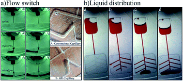 Graphical abstract: Guided routing on spinning microfluidic platforms