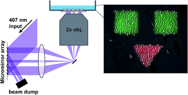 Graphical abstract: Photostick: a method for selective isolation of target cells from culture