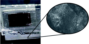 Graphical abstract: A simple one step process for enhancement of titanium foil dye sensitised solar cell anodes