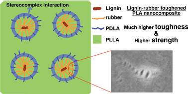 Graphical abstract: Biodegradable and renewable poly(lactide)–lignin composites: synthesis, interface and toughening mechanism