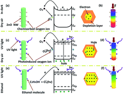 Graphical abstract: Realizing room-temperature self-powered ethanol sensing of ZnO nanowire arrays by combining their piezoelectric, photoelectric and gas sensing characteristics