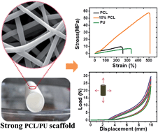 Graphical abstract: An electrospun strong PCL/PU composite vascular graft with mechanical anisotropy and cyclic stability