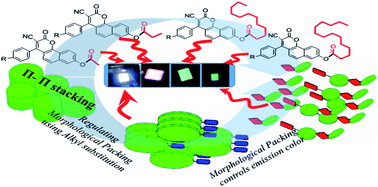 Graphical abstract: Engineering fused coumarin dyes: a molecular level understanding of aggregation quenching and tuning electroluminescence via alkyl chain substitution