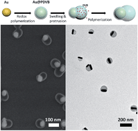 Graphical abstract: Harnessing nonlinear rubber swelling for bulk synthesis of anisotropic hybrid nanoparticles