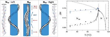 Graphical abstract: The temperature dependence of the heliconical tilt angle in the twist-bend nematic phase of the odd dimer CB7CB