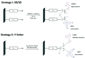 Graphical abstract: Surface invasive cleavage assay on a maskless light-directed diamond DNA microarray for genome-wide human SNP mapping