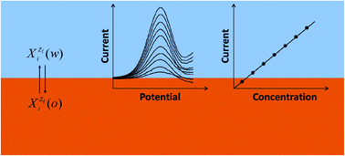 Graphical abstract: Recent developments in electrochemistry at the interface between two immiscible electrolyte solutions for ion sensing