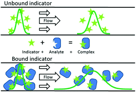 Graphical abstract: Flow induced dispersion analysis rapidly quantifies proteins in human plasma samples