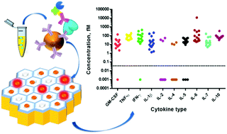 Graphical abstract: Single molecule array (Simoa) assay with optimal antibody pairs for cytokine detection in human serum samples