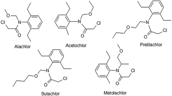 Graphical abstract: Molecularly imprinted solid-phase extraction coupled with gas chromatography for the determination of four chloroacetamide herbicides in soil