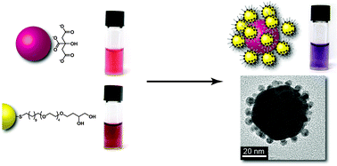 Graphical abstract: Rapid and simple preparation of remarkably stable binary nanoparticle planet–satellite assemblies