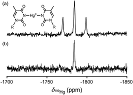 Graphical abstract: Direct detection of the mercury–nitrogen bond in the thymine–HgII–thymine base-pair with 199Hg NMR spectroscopy