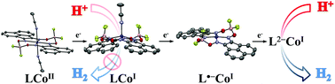 Graphical abstract: Structural and electronic characterization of multi-electron reduced naphthalene (BIAN) cobaloximes