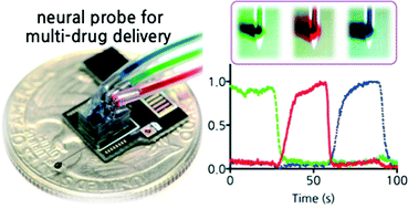 Graphical abstract: Neural probes with multi-drug delivery capability