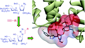Graphical abstract: Triazolophostins: a library of novel and potent agonists of IP3 receptors