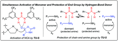 Graphical abstract: Organocatalysis by hydrogen-bonding: a new approach to controlled/living polymerization of α-amino acid N-carboxyanhydrides