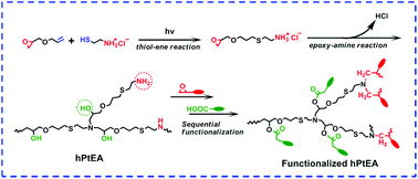 Graphical abstract: One-pot approach to synthesize hyperbranched poly(thiol–ether amine) (hPtEA) through sequential “thiol–ene” and “epoxy–amine” click reactions