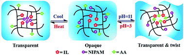 Graphical abstract: Thermo- and pH-responsive poly(ionic liquid) membranes