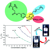 Graphical abstract: Synthesis and LCST-type phase behavior of water-soluble polypeptide with Y-shaped and charged side-chains
