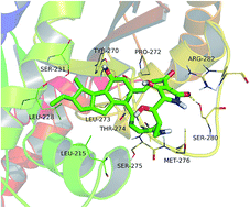 Graphical abstract: HSAF-induced antifungal effects in Candida albicans through ROS-mediated apoptosis