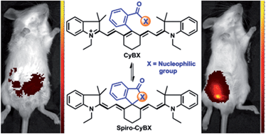 Graphical abstract: A simple and effective “capping” approach to readily tune the fluorescence of near-infrared cyanines