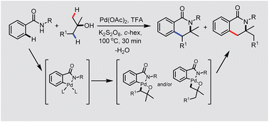 Graphical abstract: Modular synthesis of dihydro-isoquinolines: palladium-catalyzed sequential C(sp2)–H and C(sp3)–H bond activation