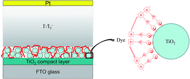Graphical abstract: Photovoltaic performance of long-chain poly(triphenylamine-phenothiazine) dyes with a tunable π-bridge for dye-sensitized solar cells