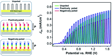 Graphical abstract: Spontaneously polarized lithium-doped zinc oxide nanowires as photoanodes for electrical water splitting
