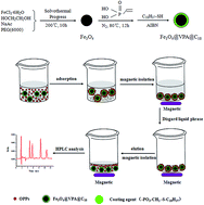 Graphical abstract: Preparation of bifunctional magnetic nanoparticles with octadecyl and phosphate groups by thiol–ene click chemistry for extraction and enrichment of organophosphorus pesticides in tea drinks