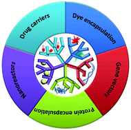 Graphical abstract: Host–guest binding motifs based on hyperbranched polymers