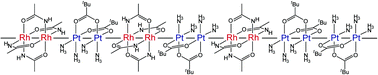 Graphical abstract: Heterometallic one-dimensional chain with tetradeca metal repetition constructed by amidate bridged dirhodium and pivalate bridged diplatinum complexes influenced by hydrogen bonding