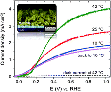 Graphical abstract: Significantly enhanced photocurrent for water oxidation in monolithic Mo:BiVO4/SnO2/Si by thermally increasing the minority carrier diffusion length