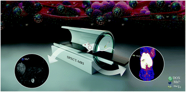 Graphical abstract: 99mTc-conjugated manganese-based mesoporous silica nanoparticles for SPECT, pH-responsive MRI and anti-cancer drug delivery