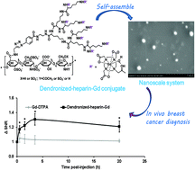 Graphical abstract: A dendronized heparin–gadolinium polymer self-assembled into a nanoscale system as a potential magnetic resonance imaging contrast agent
