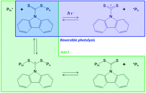 Graphical abstract: Investigation into the mechanism of photo-mediated RAFT polymerization involving the reversible photolysis of the chain-transfer agent