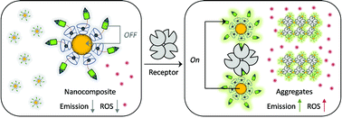 Graphical abstract: Targeted multimodal theranostics via biorecognition controlled aggregation of metallic nanoparticle composites