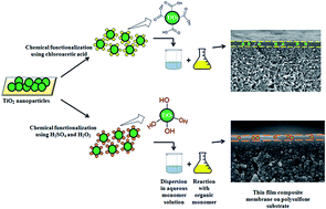 Graphical abstract: Synthesis and characterization of polyamide/polyester thin-film nanocomposite membranes achieved by functionalized TiO2 nanoparticles for water vapor separation